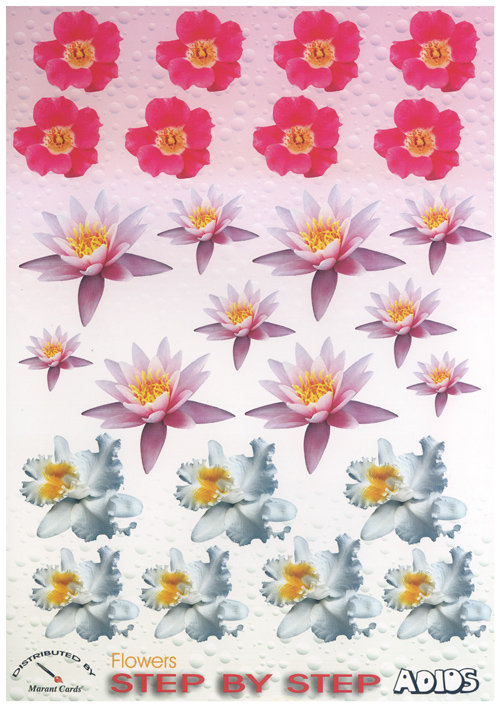 Flower Heads A4 Sheet - 0011USBS B