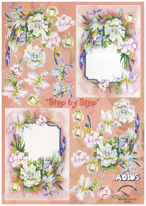 Framed Flowers A4 Sheet - 0015USBS B