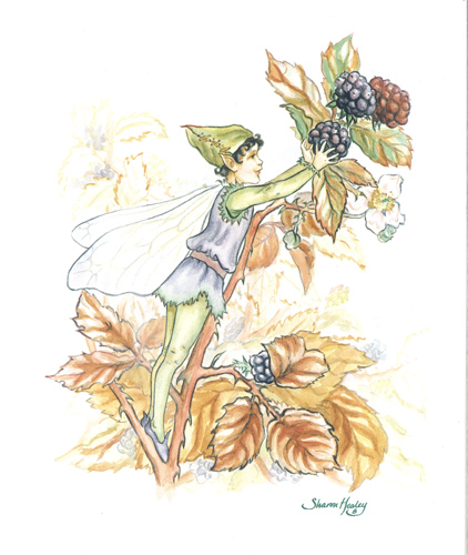 Harvest Elves A - 021