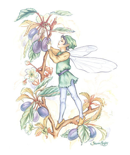 Harvest Elves D - 022
