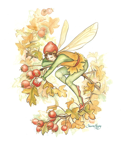 Harvest Elves C - 024