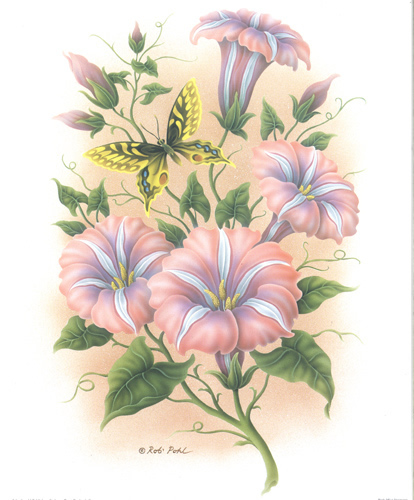 Pattunias Pink - 028