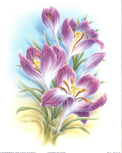 Fluer Amour Purple - 053