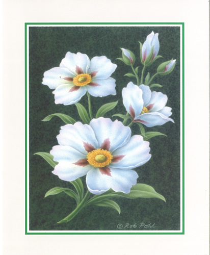 Victorian Fantasy 2 - 062