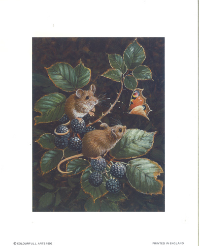 Mouse Blackberry Print Size 10 x 8 - 068