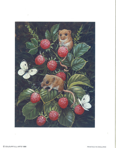 Mouse Raspberry Print Size 10 x 8 - 071