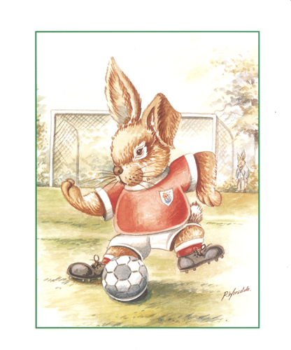 Bugsy Football - 097