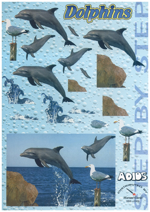 Dolphins A4 Sheet - 1009USBS B