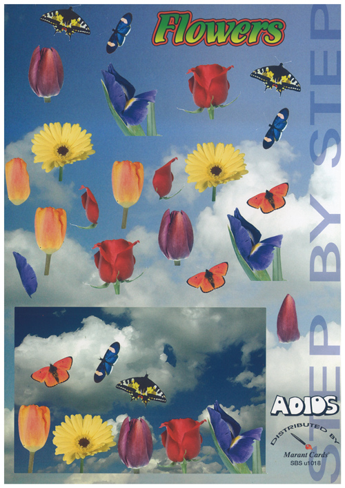 Butterflies and flowerheads A4 Sheet - 1018USBS B