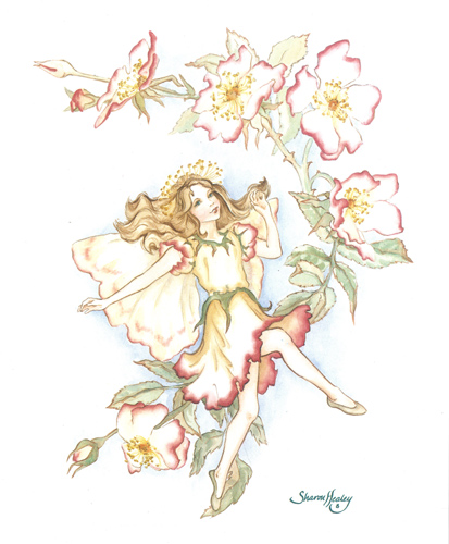 Fairies C - 116