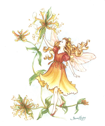 Fairies B - 117