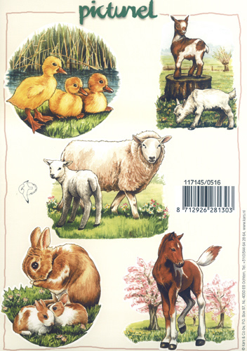 Country Animals Sheet Size A5 - 117145/0516