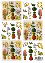 Spring Garden - 118587