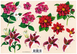 Floral - 118661