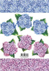 Flower Heads - 118700