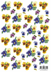 Pansies - 118801