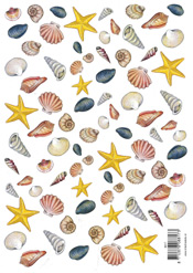 Sea Shells - 118817