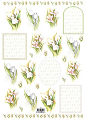 White Dyed Flowers and Frames - 118921