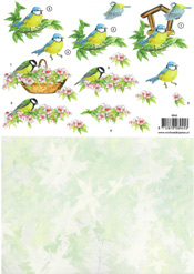 Bird on Branches - 118945