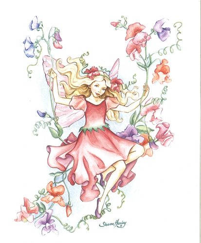 Fairies D - 119