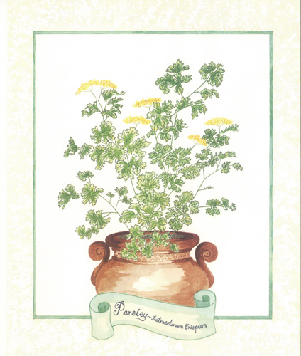 Parsiley 10 x 8 Pack of 6 Prints - 1234134