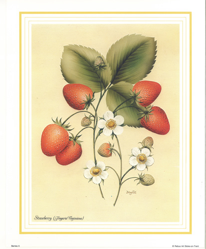 Strawberries 10 x 8 Pack of 6 Prints - 1234138