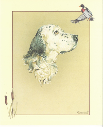Dog 1 10 x 8 pack of 5 prints - 123437