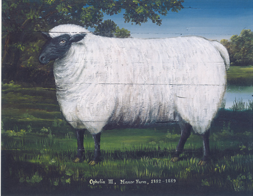 Sheep 10 x 8 pack of 6 prints - 123460