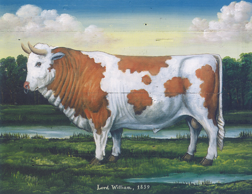 Lord William 10 x 8 Pack of 6 prints - 123462