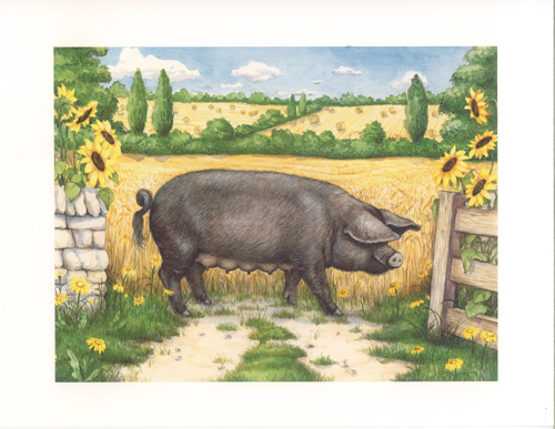Pigs 1 10 x 8 Pack of 6 Prints - 123464