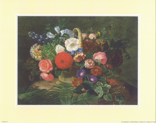 Jensens A 8 x 10 Pack of 6 prints - 123482