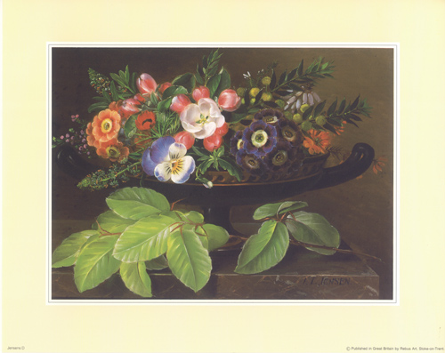 Jensens D 8 x 10 Pack of 6 prints - 123483