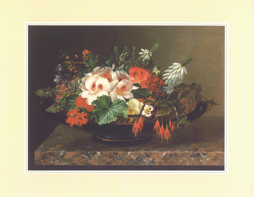 Jensens C 8 x 10 Pack of 6 prints - 123485