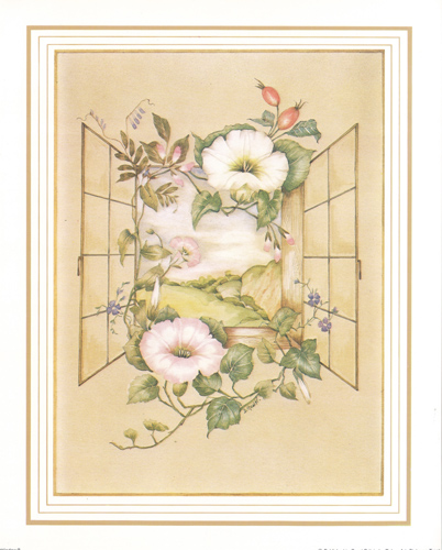 Windows B 10 x 8 Pack of 6 prints - 123489