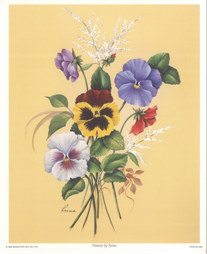 Pansies 10 x 8 Pack of 6 Prints - 123499
