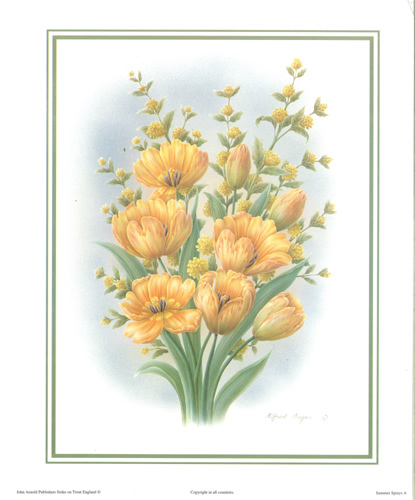 Summer Sprays 2 - 125