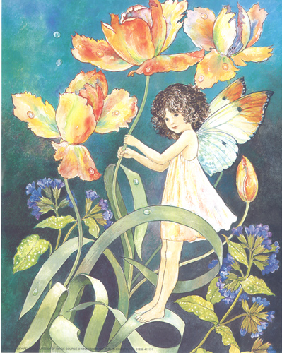 Pack of six prints Garden Fairies 1 - 1605