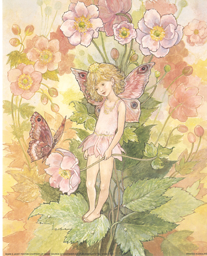 Pack of six prints Garden Fairies 2 - 1607