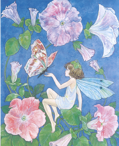 Pack of six prints Garden Fairies 5 ( Limited Stock) Size 5 x 6 - 1609A