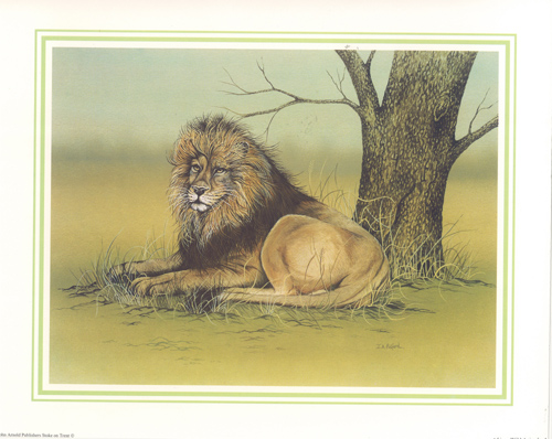 African Wild Animals A 10 x 8 - 1652