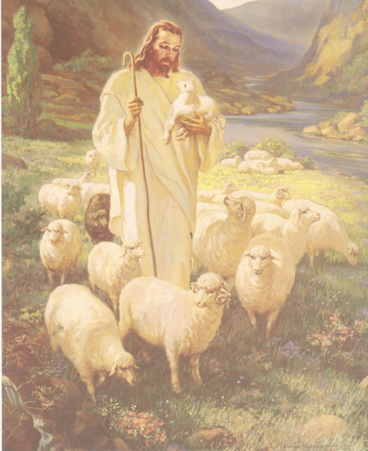 Shepherd 10 x 8 pack of 6 prints - 1658