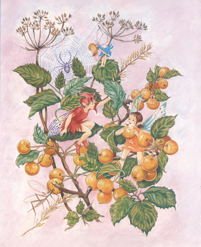 Fairies and the Spider Web 10 x 8 - 1667