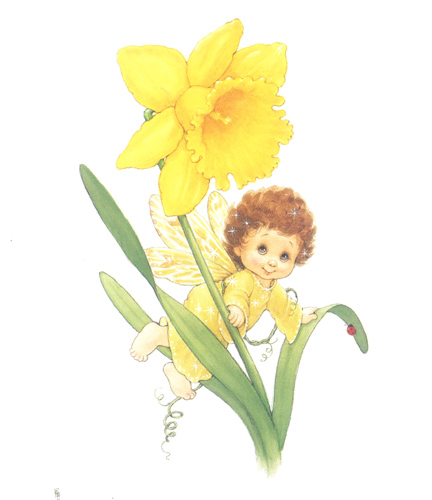 Morehead Blossomtots 2 5 x 4 - 1702