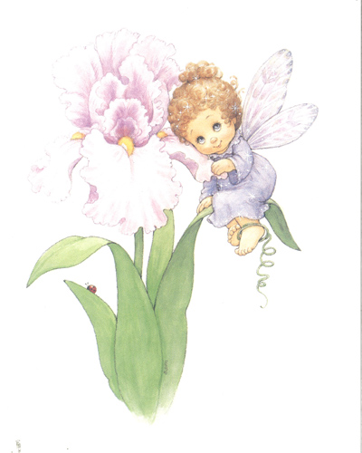 Morehead Blossomtots 1 5 x 4 - 1703