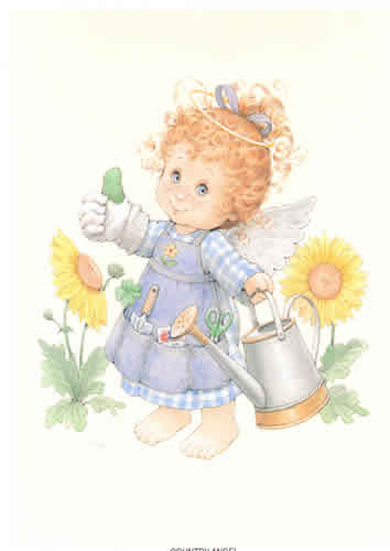 Morehead Angel Blossom Size 10 x 8 - 1841