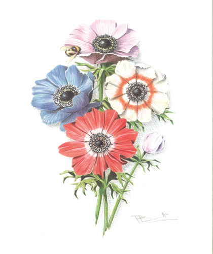 Set of 5 Prints Bennett Florals 3 - 2040