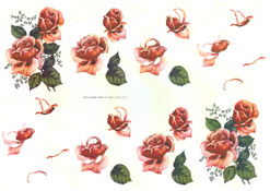 Red Roses - 218111