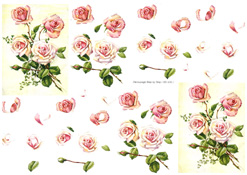 Light pink Roses - 218131