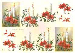 Candle and Pionsettias - 218158