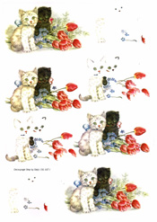 Tulips and cats - 218167